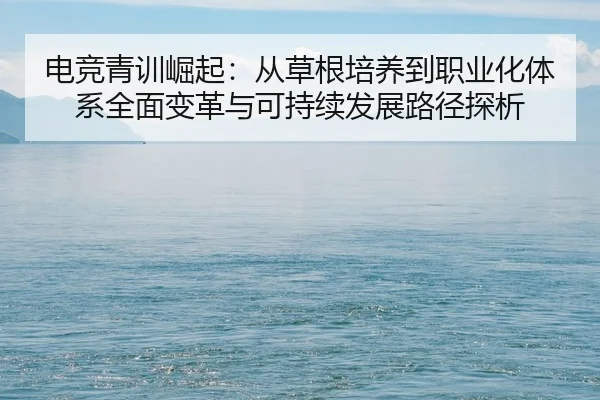 电竞青训崛起：从草根培养到职业化体系全面变革与可持续发展路径探析 | leyu